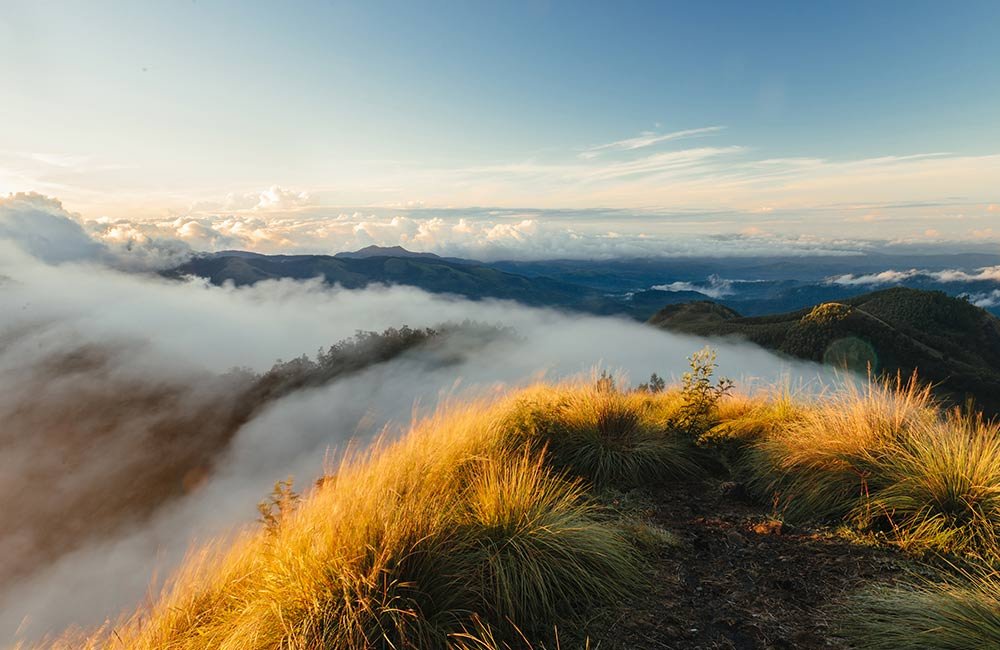 Cloudcastle Resort and Spa Munnar